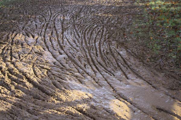 mud